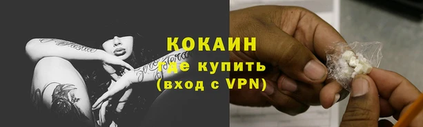 гидра Арсеньев