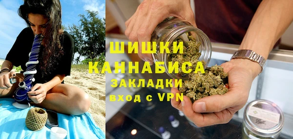 гидра Арсеньев