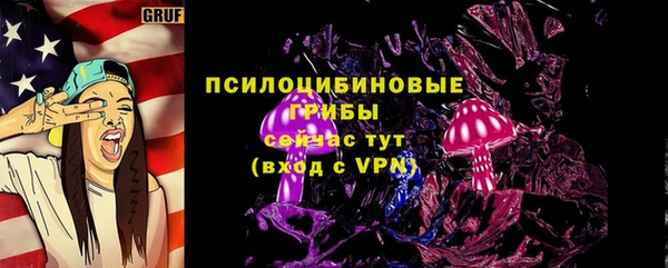 гидра Арсеньев